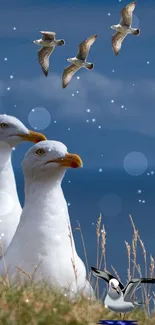 Seagulls flying against a blue sky with clouds and grass visible below.