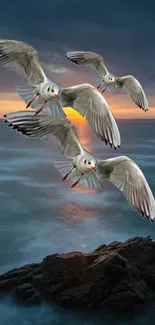 Seagulls soar over ocean at sunset, capturing serene natural beauty.