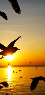 Silhouetted seagulls flying over ocean at sunset.