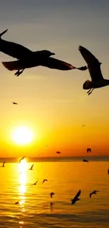 Silhouetted seagulls flying against a vibrant sunset sky over the ocean.