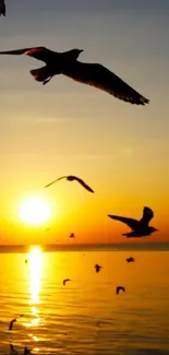 Seagulls flying at sunset over a calm sea.