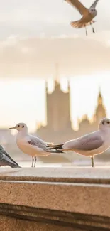 Serene scene of seagulls perched before a sunset city skyline.