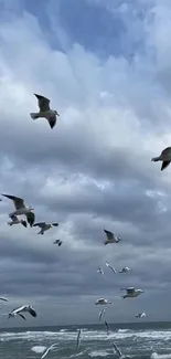 Seagulls flying in a cloudy sky over the ocean.