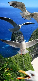 Seagulls flying over a tropical island with blue ocean and lush greenery.