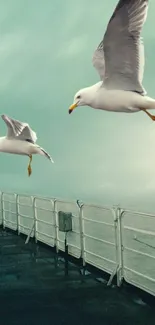 Seagulls soaring above ocean view on a tranquil mobile wallpaper.