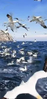 Seagulls flying above a blue ocean with waves.