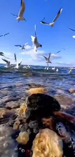 Seagulls soaring over ocean waves with a vibrant blue sky.