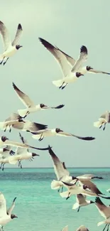 Seagulls flying above a tranquil ocean backdrop with a pastel aqua sky.