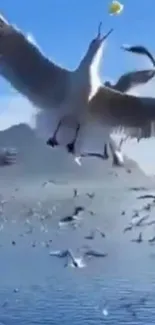 Seagulls flying over the blue ocean under a clear sky.