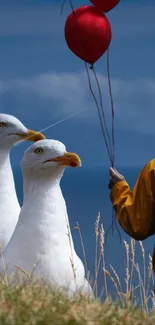 Seagulls gazing at red balloons against a blue sky.