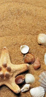 Starfish and seashells on sandy beach wallpaper for mobile phones.