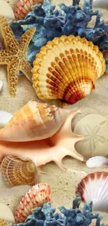 Colorful beach wallpaper with seashells and starfish on sandy background.