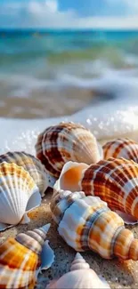 Seashells scattered on a sandy beach with ocean waves.