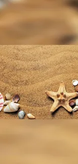 Beach wallpaper with seashells and starfish on sandy background.