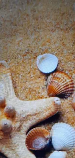 Starfish and seashells on a sandy beach, creating a calm tropical scene.