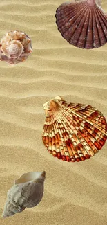 Vibrant seashells on a sandy beach wallpaper with gentle sand waves.