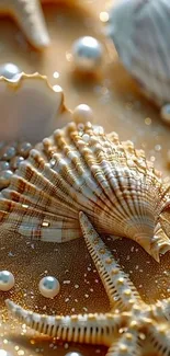 Close-up of seashells and pearls on golden sand.