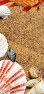 Sandy beach with assorted seashells and a hint of orange fish overhead.