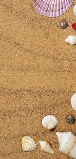 Sandy beach with seashells and starfish wallpaper.