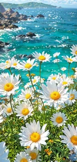 Vibrant daisies with a backdrop of a sparkling turquoise sea and rocky coastline.