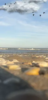 Beach scene with seashells and flying birds under a blue sky.