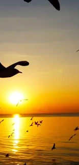 A serene sunset over the ocean with silhouetted birds flying.