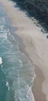 Aerial view of serene beach and ocean waves.