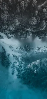 Aerial view of tranquil beach with lush forest and blue ocean.