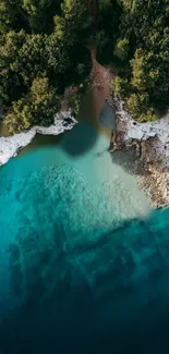 Aerial view of a turquoise shoreline surrounded by lush greenery.