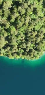 Aerial view of a serene lake surrounded by lush forest.