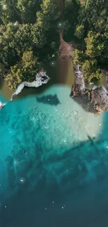 Aerial view of a turquoise lake with lush forest edge, capturing serene nature.