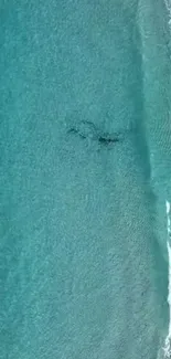 Aerial view of a serene ocean with blue waves and a calm shoreline.