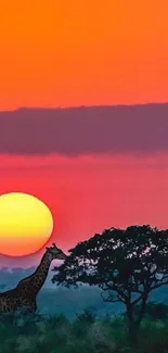 A stunning African sunset with a giraffe silhouette and vibrant orange sky.