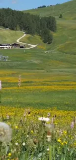 Alpine meadow with flowers and cottages under a blue sky.