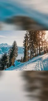 Scenic alpine winter landscape with snow and pine trees.