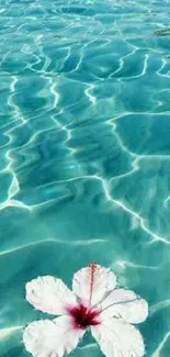 Tranquil aqua waters with a floating hibiscus flower.