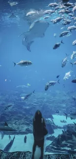 Underwater aquarium scene with diverse marine life and serene blue colors.