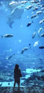 Aquarium view with diverse fish swimming in a large blue tank.