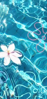 Floating flower over blue water with reflections.