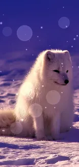 Serene Arctic fox in snowy purple landscape wallpaper.