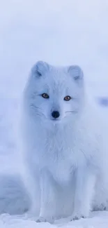 A serene white arctic fox sits in a snowy landscape for mobile wallpaper.