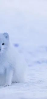 Serene Arctic fox sitting in snowy landscape, creating a tranquil mobile wallpaper.