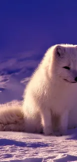 A peaceful Arctic fox sits on snowy ground under a purple blue sky.