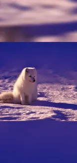 A serene Arctic fox resting on a snowy purple landscape.