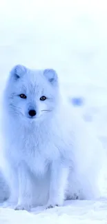 Download serene arctic fox mobile wallpaper with snowy background.