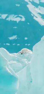 Serene Arctic ice landscape with snowy peaks.