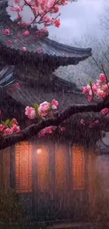 Traditional Asian house with cherry blossoms in rain at night.