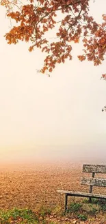 Tranquil wallpaper with autumn leaves and a park bench.