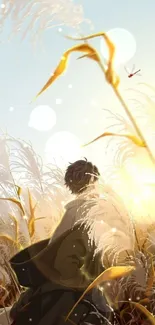 Person standing in a serene golden field at sunset.