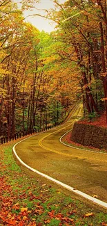 Winding road through an autumn forest with vibrant fall colors.